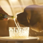 Is that this for actual? Bark Air flies canines in transatlantic non-public jets